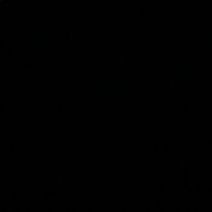 Meet your Posher, Brittani